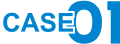 case01